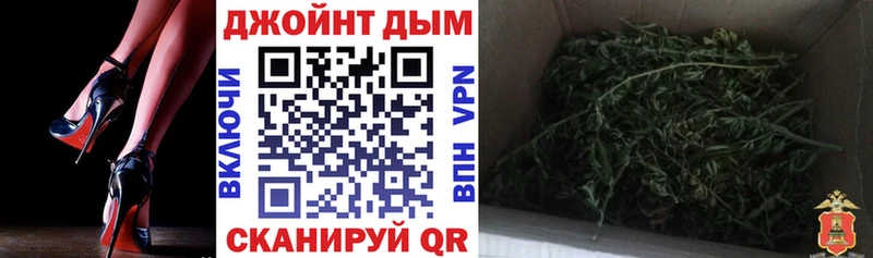 блэк спрут как войти  Игра  Шишки марихуана сатива 
